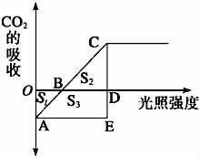 玉米光合作用強度與光照強度關系解析