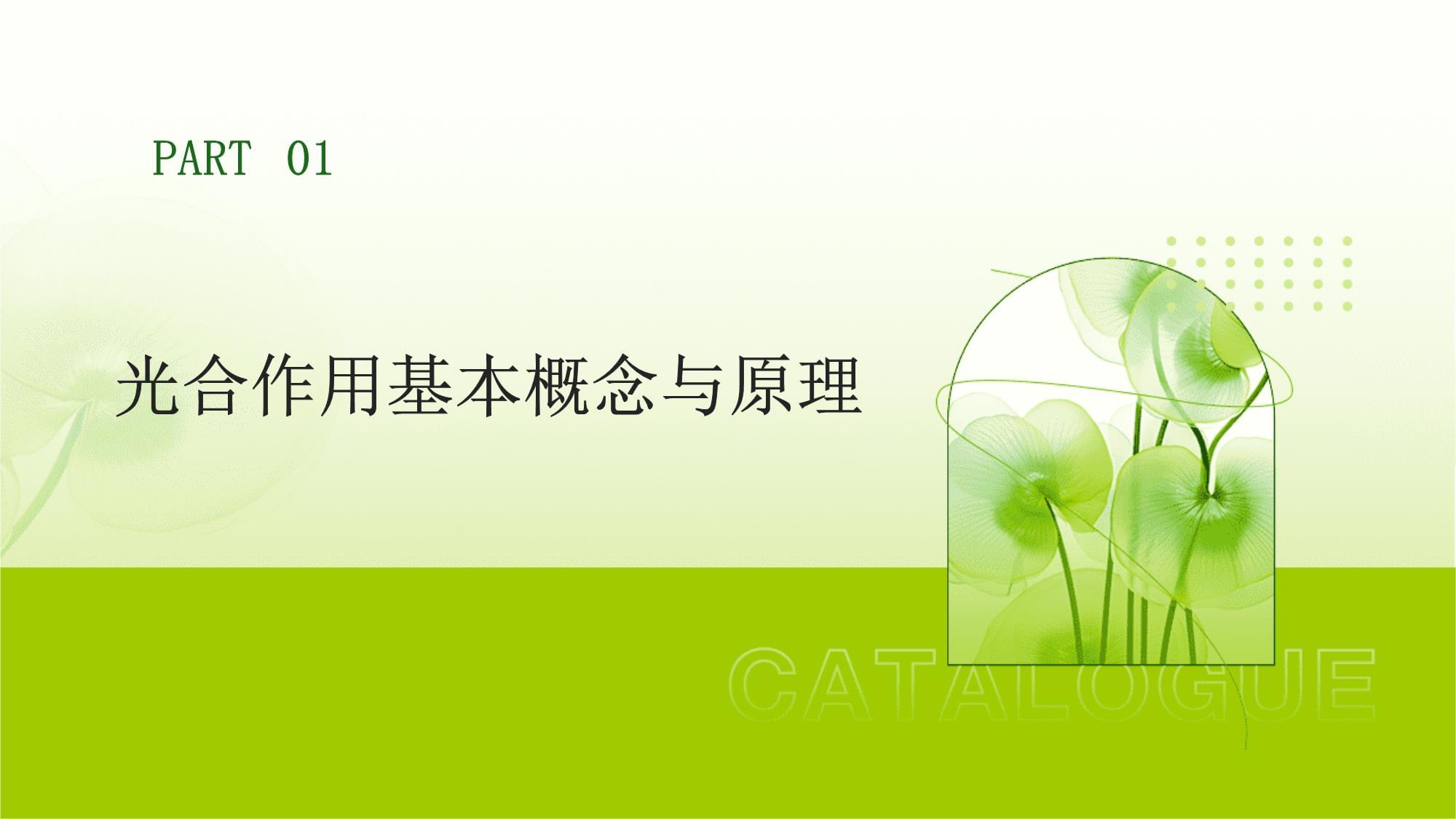 如何利用光合作用 從自然原理到前沿應(yīng)用